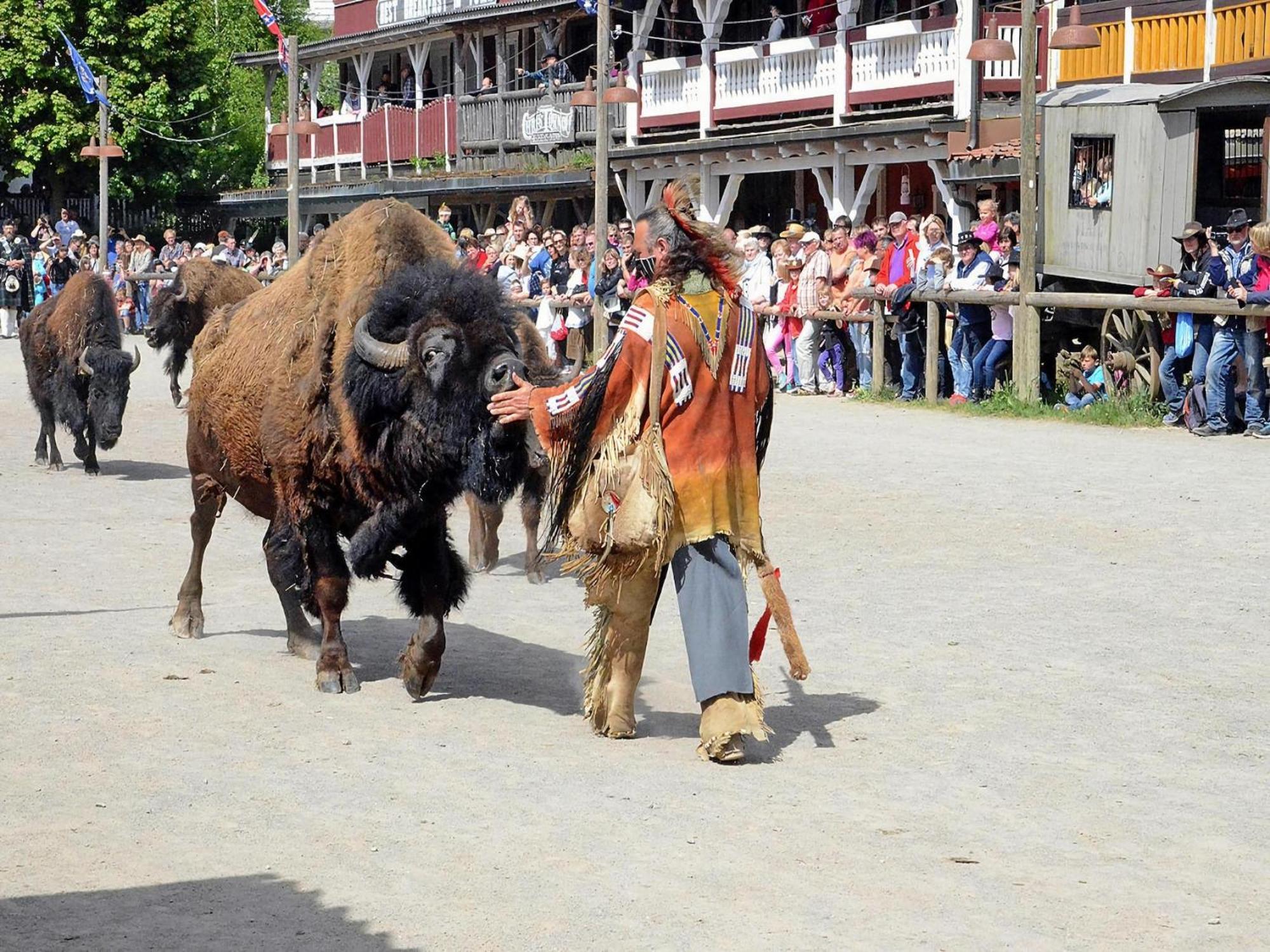 Harz Holiday Park, Hasselfelde Εξωτερικό φωτογραφία